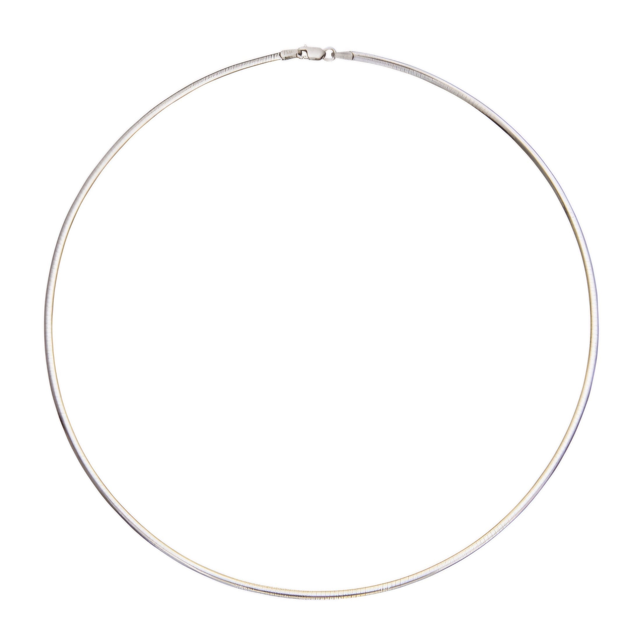 Class Two Tone Flat Omega Necklace in front of a white background