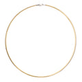 Class Two Tone Flat Omega Necklace in front of a white background